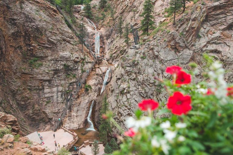 A Group Of Flowers Next To A Rocky Cliff